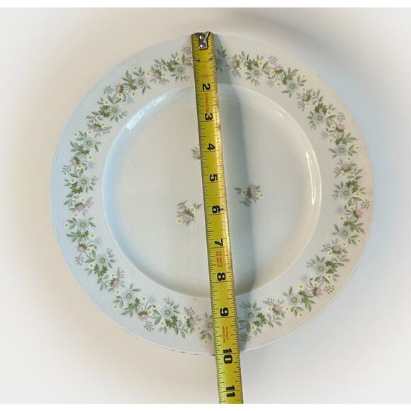 4 Johann Haviland “Forever Spring” 10” Dinner Plates Porcelain Germany EUC - Picture 16 of 16